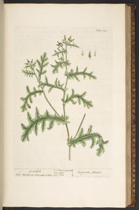 Plate 132, from 