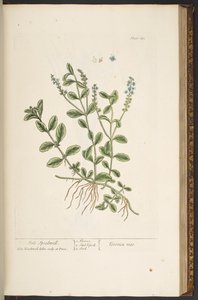 Plate 143, from 