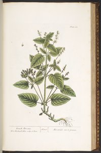 Plate 162, from 