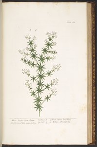 Plate 168, from 