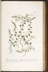 Plate 170, from 