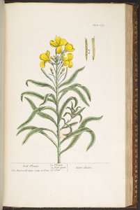 Plate 179, from 