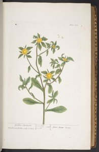 Plate 272, from 