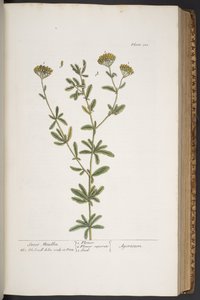 Plate 300, from 