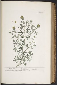 Plate 310, from 