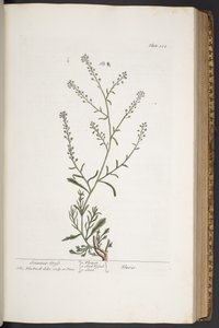 Plate 312, from 