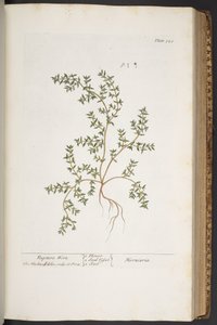 Plate 320, from 