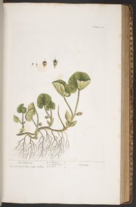 Plate 383, from 