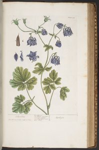 Plate 409, from 