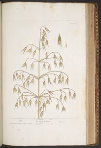 Plate 422, from 