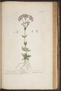 Plate 452, from 