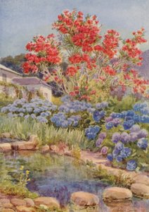 Hydrangeas by the Water, Bishopscourt, near Cape Town