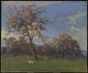Springtime by Elizabeth McGillivray Knowles