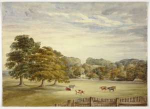 Six Cows Grazing before Country House
