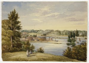 View from Sydney by Elizabeth Murray