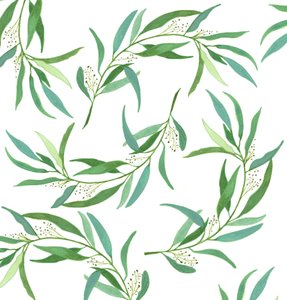 Eucalyptus Leaves