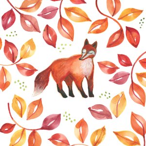 Fox, 2017