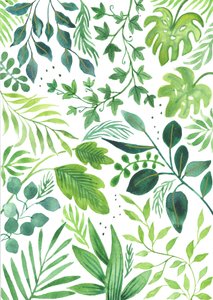 Leafy Medley, 2018