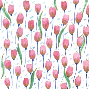 Pink Tulips, 2017