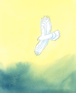 In His justice, God is like a huge bird of prey, who sees from afar the tiniest creature on earth and all its movements