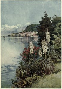 A Group of Yuccas, Villa Melzi, Lago di Como, Illustration from 