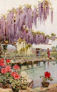 A Peony Garden by Ella Du Cane