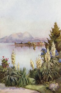 Isola Pescatori from Baveno, Lago Maggiore by Ella Du Cane