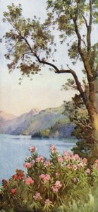 Lago di Lecco, Lago di Como by Ella Du Cane
