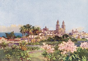 Las Palmas by Ella Du Cane