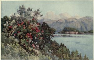 Roses, Villa Carlotta, Lago di Como, Illustration from 