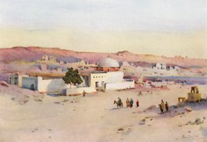 The Road from Assuan to Shellal by Ella Du Cane