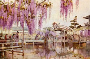Wistaria, Kameido by Ella Du Cane