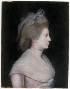 Sarah Lloyd Hillhouse by Ellen Sharples