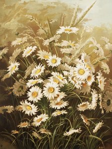 Daisies