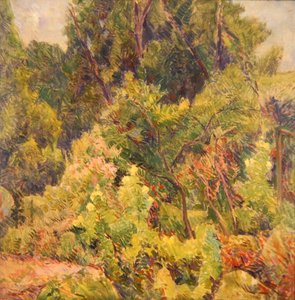 Garden near a Wood