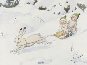The Snow Hare