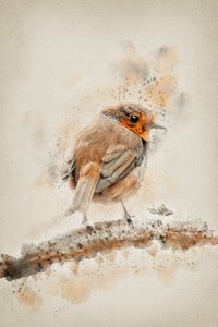 Gentle Watercolor Robin by Ema Paraschiv