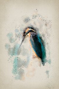 Vibrant Kingfisher Watercolor