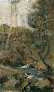 Stream in the Vienna Woods