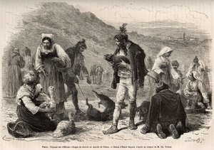 The peasants in the vicinity of Pisino (Croatia), gather for the sale of their farm products on the market: poultry, piglets..., engraving after a drawing by Emile Bayard illustrating the journey in Istria and Dalmatia, in 1874, by Charles Yriarte, publish by Emile Antoine Bayard