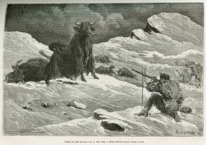 Wild yak hunting scene (Drawing by Emile Bayard)