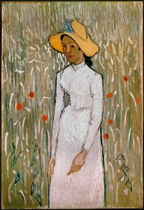 Woman in a Field of Poppies