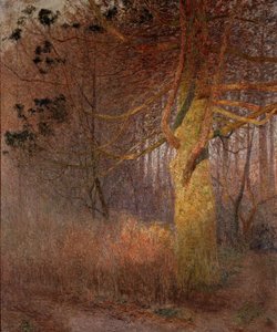 Sunny Tree by Emile Claus