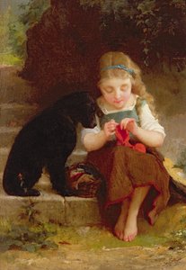Unknown Image