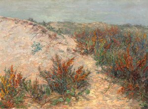 Dunes with Sea Buckthorn near Knokke