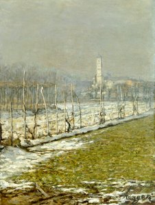 Landscape. Winter Sun