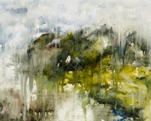 Misty Green Forest