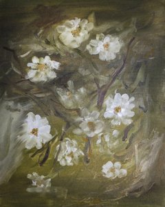 Soft White Blossoms
