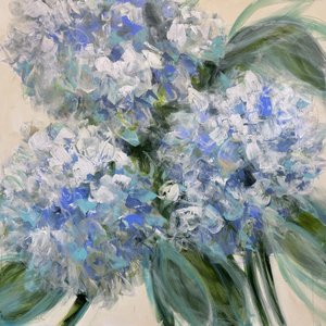 Blue Hydrangea Blooms by Emma Bell