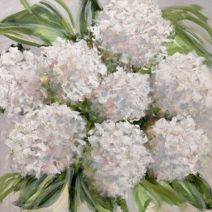 Soft White Hydrangeas by Emma Bell